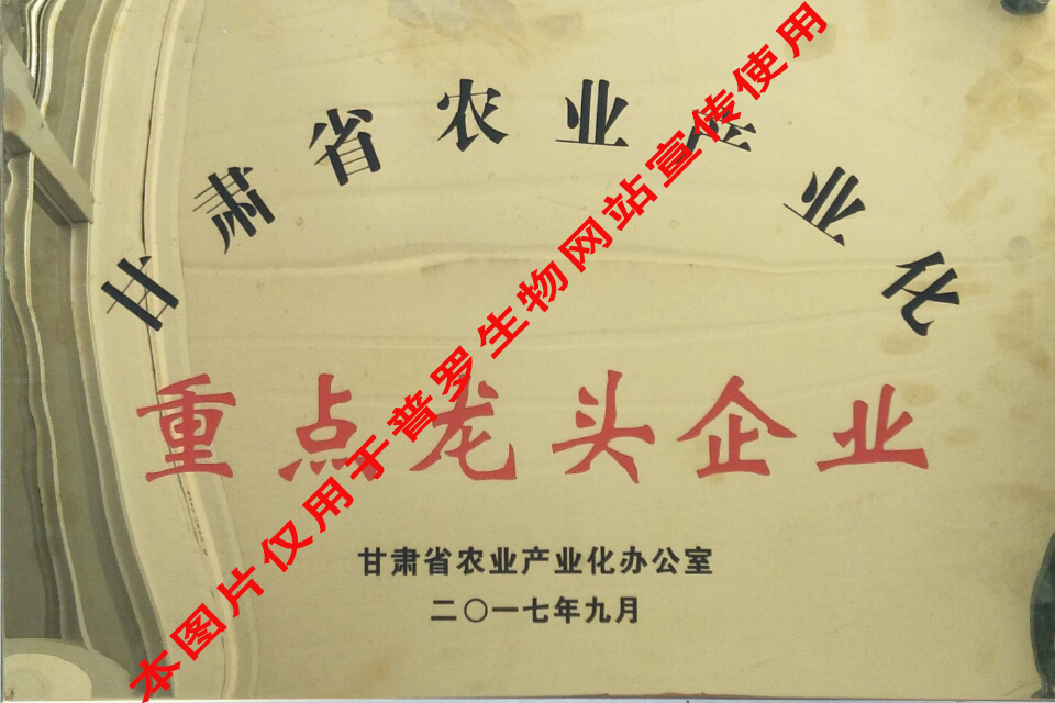 甘肅省重點龍頭企業