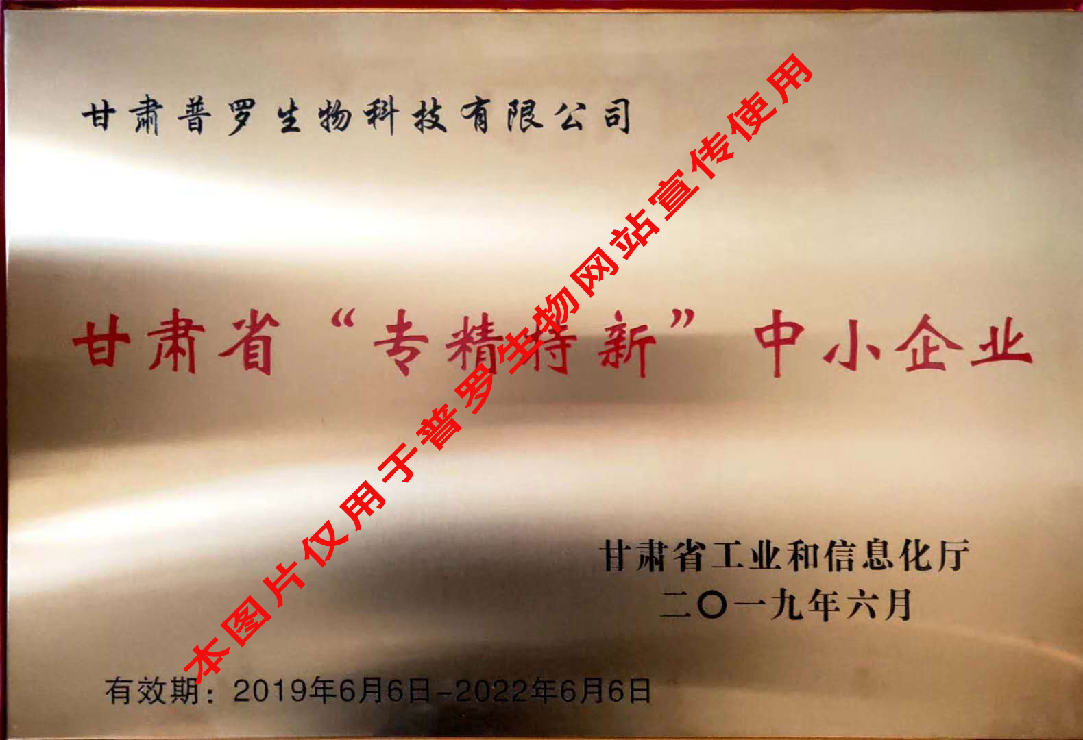 甘肅省專精特新中小企業