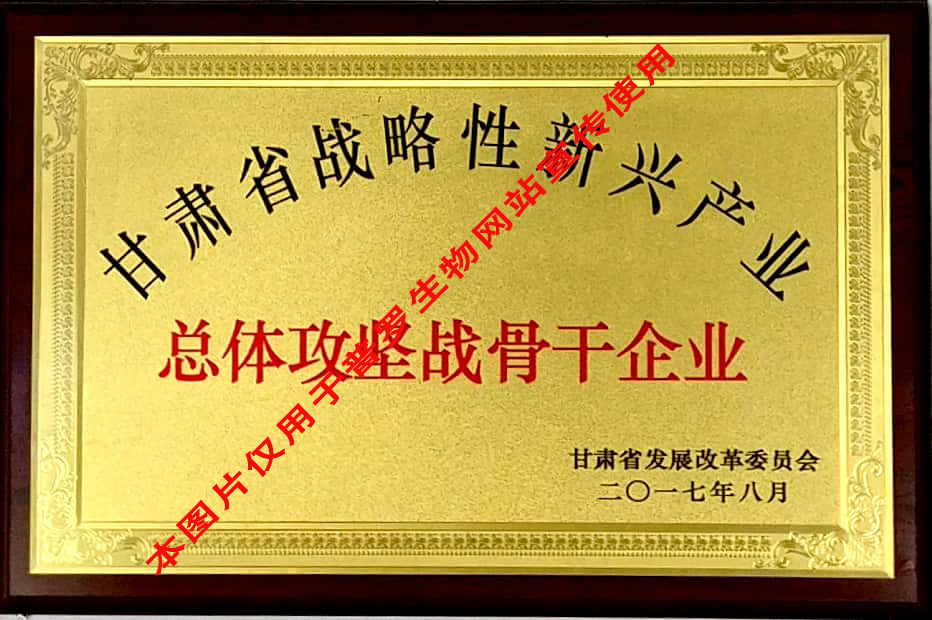甘肅省總體攻堅戰骨干企業